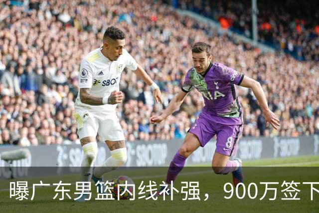 曝广东男篮内线补强，900万签下季后赛场均6.5分悍将，朱芳雨又现神操作